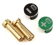 more-results: Whitz Racing Products Battery Grabs and Bullet Connectors add function and style to yo